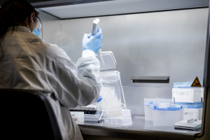 Company entered CAC40 last year thanks to pandemic but has been hit by falling demand